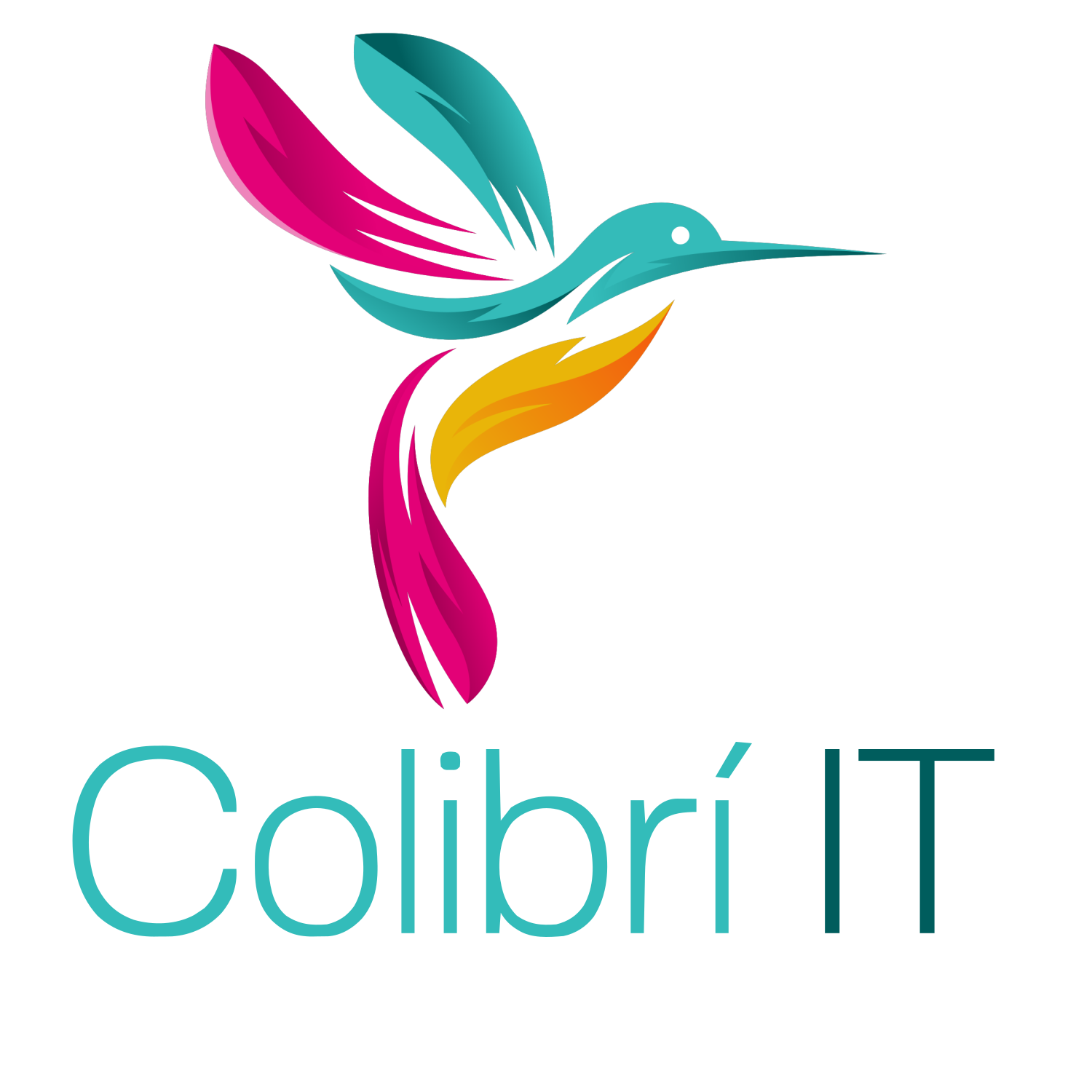 Colibrí IT